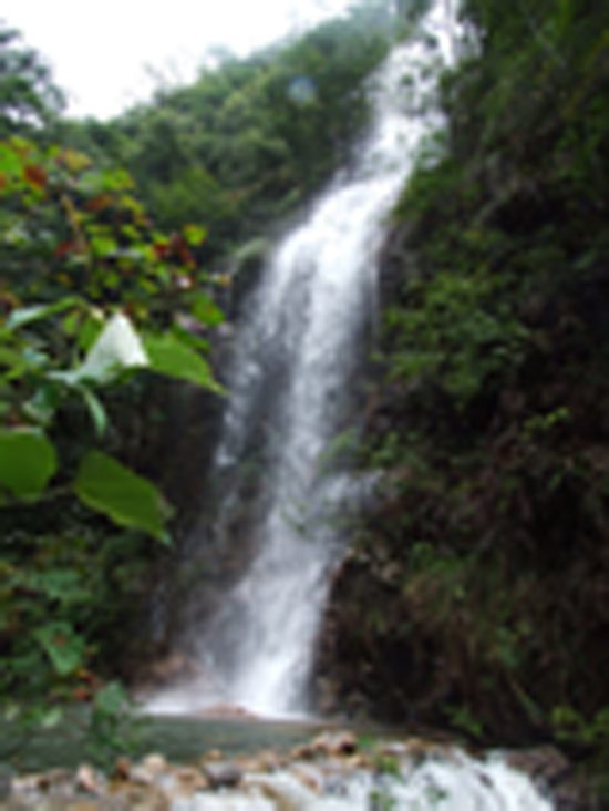 �����ٲ�